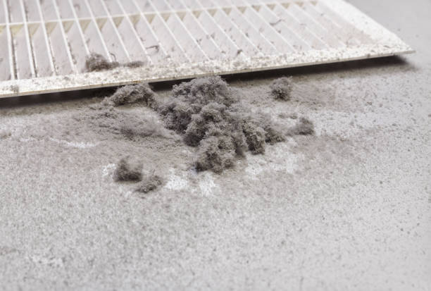 Best HVAC System Cleaning  in Payson, UT
