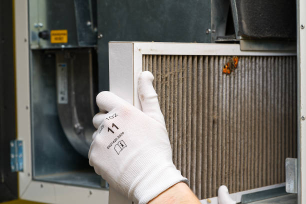 Best Home Air Vent Cleaning  in Payson, UT