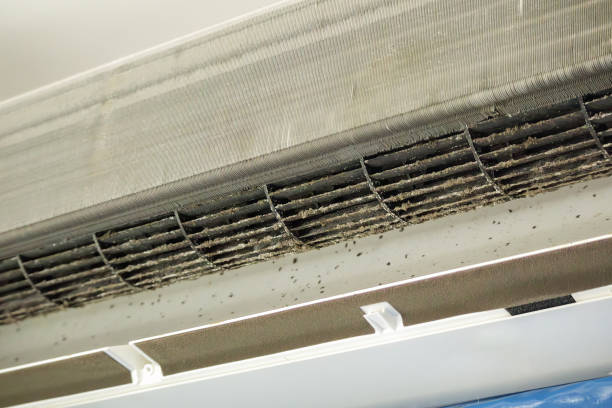 Best Affordable Air Duct Cleaning  in Payson, UT