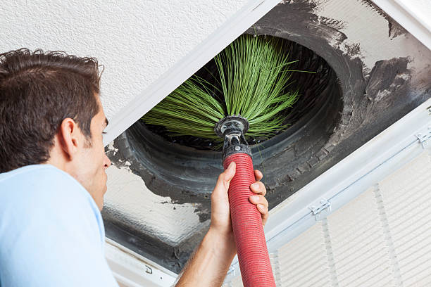 Best Air Duct Sanitizing Services  in Payson, UT